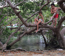 Cooperativa Ni chili photo