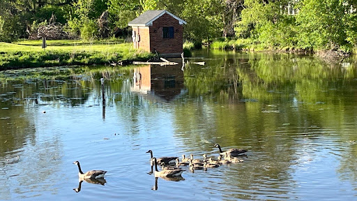 Nature Preserve «Farmington Hills Nature Center», reviews and photos, 24915 Farmington Rd, Farmington Hills, MI 48336, USA