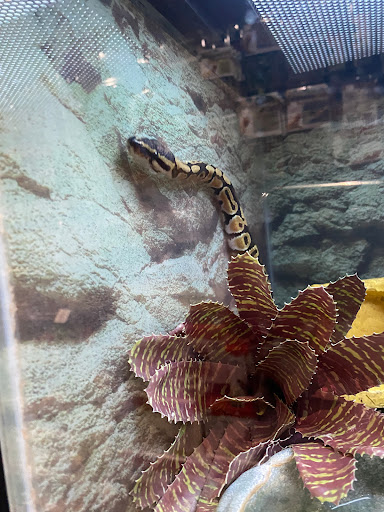 Pet Store «All Pets Club», reviews and photos, 1167 N Colony Rd, Wallingford, CT 06492, USA