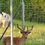 Photo n°1 de l'avis de U. fait le 19/07/2019 à 15:45 sur le  Bodensee-Hotel Sonnenhof à Kressbronn am Bodensee