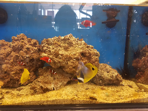 Pet Supply Store «Petco Animal Supplies», reviews and photos, 1201 E Washington Ave, Union Gap, WA 98903, USA