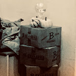 Photo n°1 de l'avis de Aurora.a fait le 15/10/2021 à 08:58 sur le  Noi Ristorante à Savona