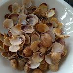 Photo n°2 de l'avis de 2MTEAM.i fait le 16/07/2022 à 07:34 sur le  Ristorante Pizzeria Orfeo à Gatteo