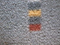 Palm City Custom Carpet Cleaning Ltd - Photo 9 - Car repair in , Port St. Lucie