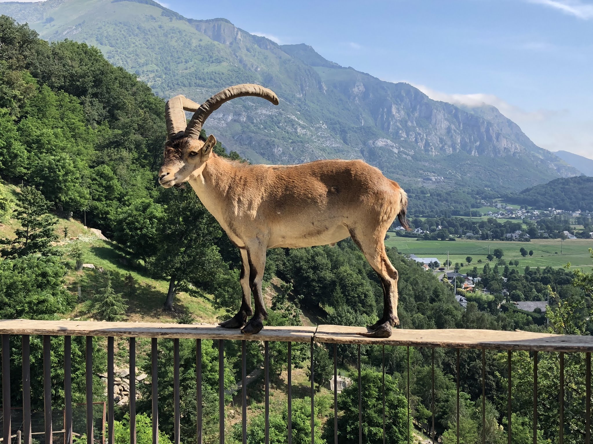 Photo n° 5 de l'avis de MARJULLO.u fait le 16/07/2018 à 08:49