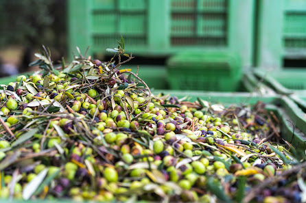 Azienda agricola Eugenia Ciriaco SP87 Lamezia Terme, Loc. Trovante, 88020 Girifalco CZ, Italia