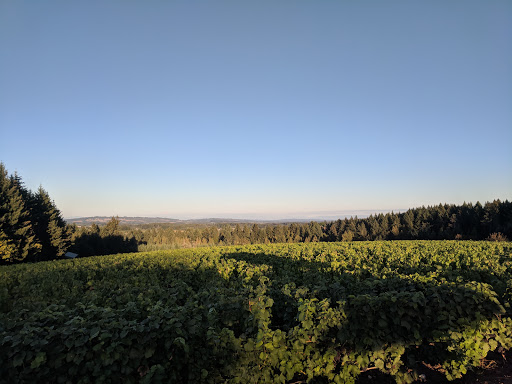 Winery «Ardiri Winery & Vineyards», reviews and photos, 35040 Southwest Unger Road, Cornelius, OR 97113, USA