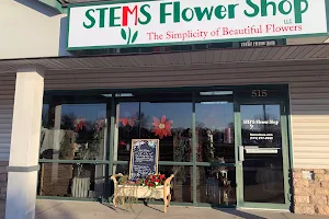 Stems Flower Shop, LLC image