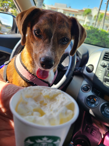 Starbucks image