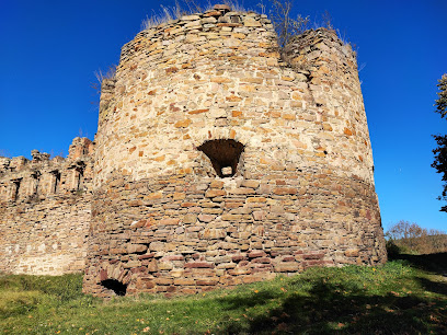 Микулинецький замок