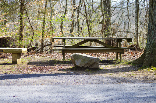 Park «Percy Warner Park», reviews and photos, 7311 Tennessee 100, Nashville, TN 37221, USA