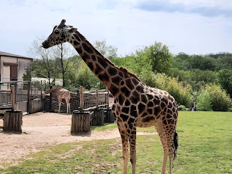 Zoo d'Amnéville