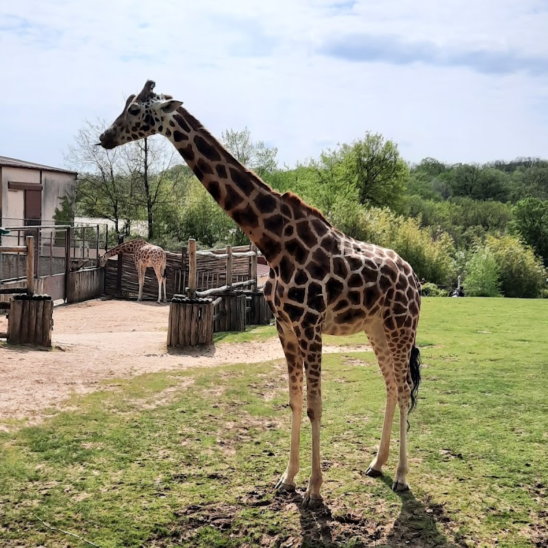 Zoo d'Amnéville