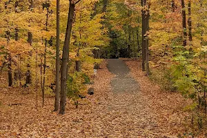 Tansley Woods Park image