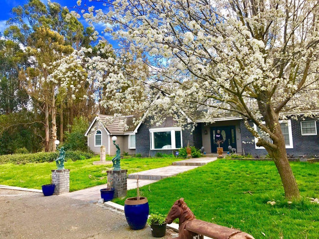 Servicio Ramirez Inc.