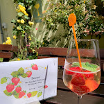 Photo n°2 de l'avis de amia. fait le 22/07/2023 à 08:39 sur le  Weingut - Gutsausschank Herbert Philipp à Rüdesheim am Rhein