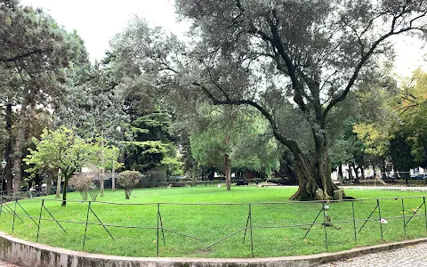 Parque Canino image