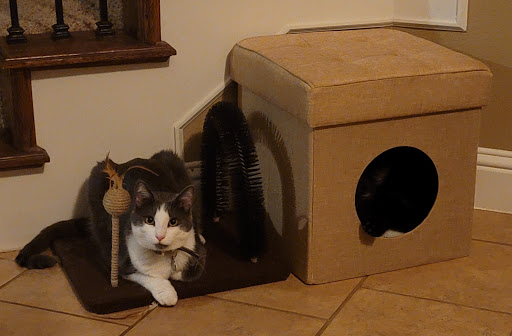 Pet Supply Store «PetSmart», reviews and photos, 2325 S Stemmons Fwy, Lewisville, TX 75067, USA