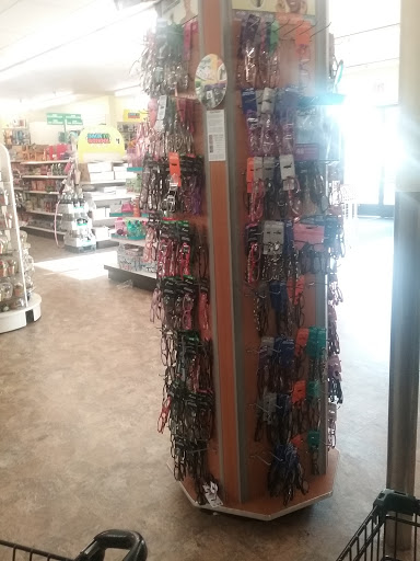 Dollar Store «Dollar Tree», reviews and photos, 10639 Sepulveda Blvd, Mission Hills, CA 91345, USA