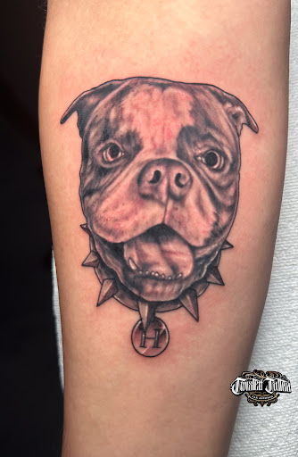 Explore sonic the hedgehog tattoo ideas, creative tattoo ideas in San Antonio, available at Twisted Tattoo