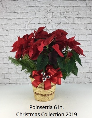 Florist «Fort Myers Floral Designs», reviews and photos, 11480 S Cleveland Ave, Fort Myers, FL 33907, USA