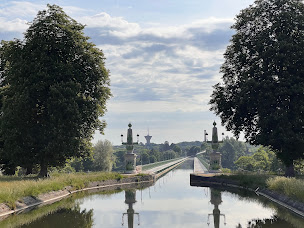 Photo n°2 de Les Alpagas de Madame Dupont à Saint-Firmin-sur-Loire ()