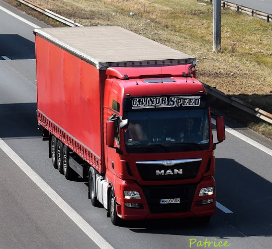 Opinii despre Grinor Speed în Seini - Servicii de mutare