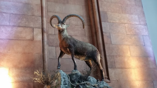 Museum «Smithsonian Castle», reviews and photos, 1000 Jefferson Dr SW, Washington, DC 20560, USA