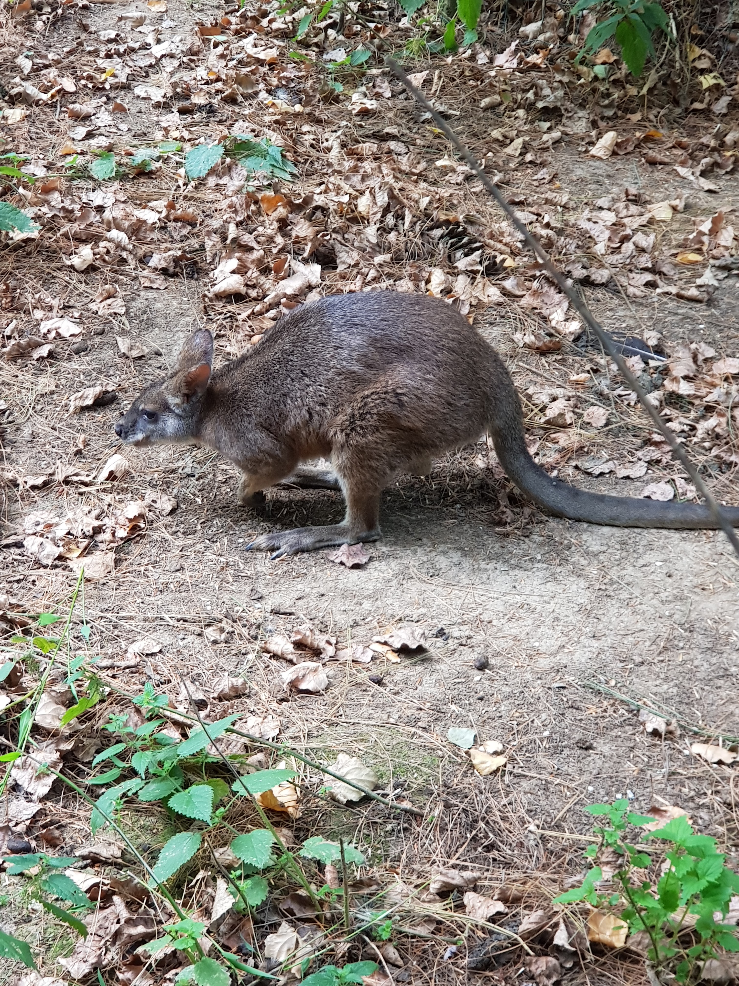Photo n° 4 de l'avis de Christophe.a fait le 03/09/2018 à 09:17