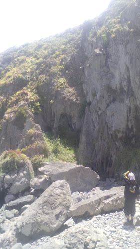 Caysu - Centro de jardinería