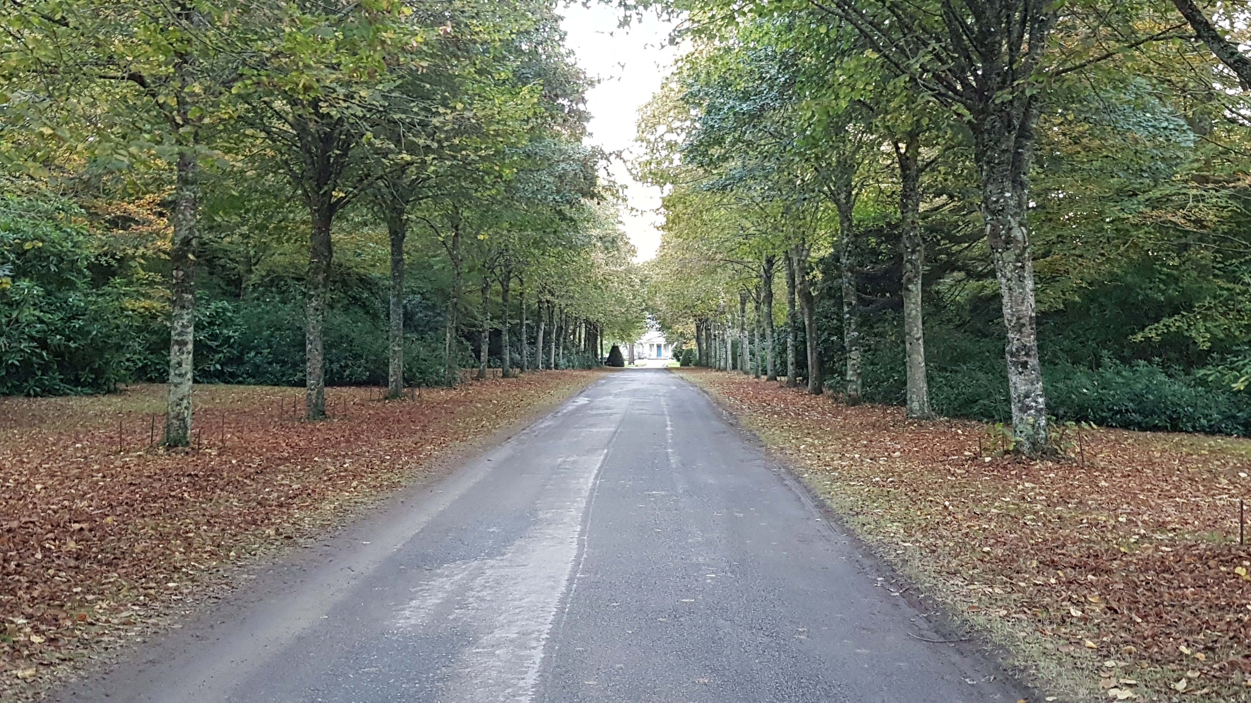 Photo n° 1 de l'avis de Martial.e fait le 04/11/2018 à 06:11