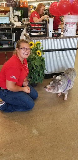 Hardware Store «Buchheit of House Springs», reviews and photos, 4550 Gravois Rd, House Springs, MO 63051, USA