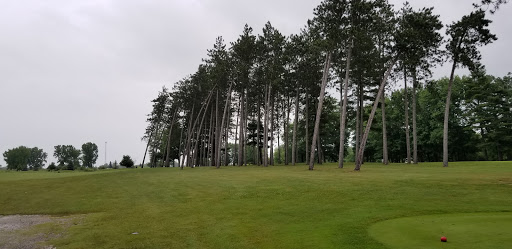 Golf Course «The Emerald Golf Course», reviews and photos, 2300 W Maple Rapids Rd, St Johns, MI 48879, USA
