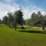 Photo n°2 de l'avis de Paola.i fait le 14/03/2018 à 14:15 sur le  Osteria Caccia al Piano à Bolgheri I