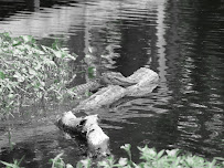 Tyler Hebert Photography - Photo 8 - Car repair in , Houma