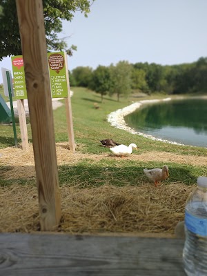 Huckleberry Park - photo 94