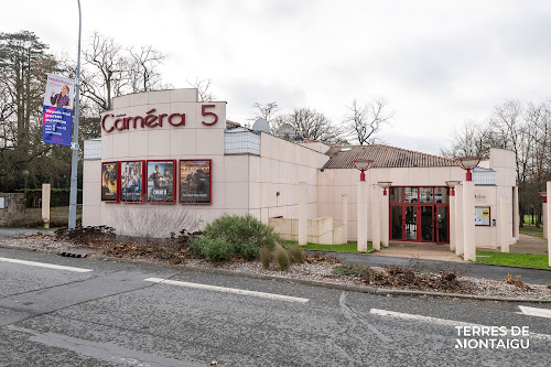 Cinéma Caméra 5 à Montaigu-Vendée