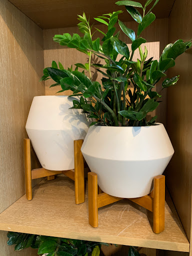 Furniture Store «west elm», reviews and photos, 12848 Queensbury Ln #152, Houston, TX 77024, USA