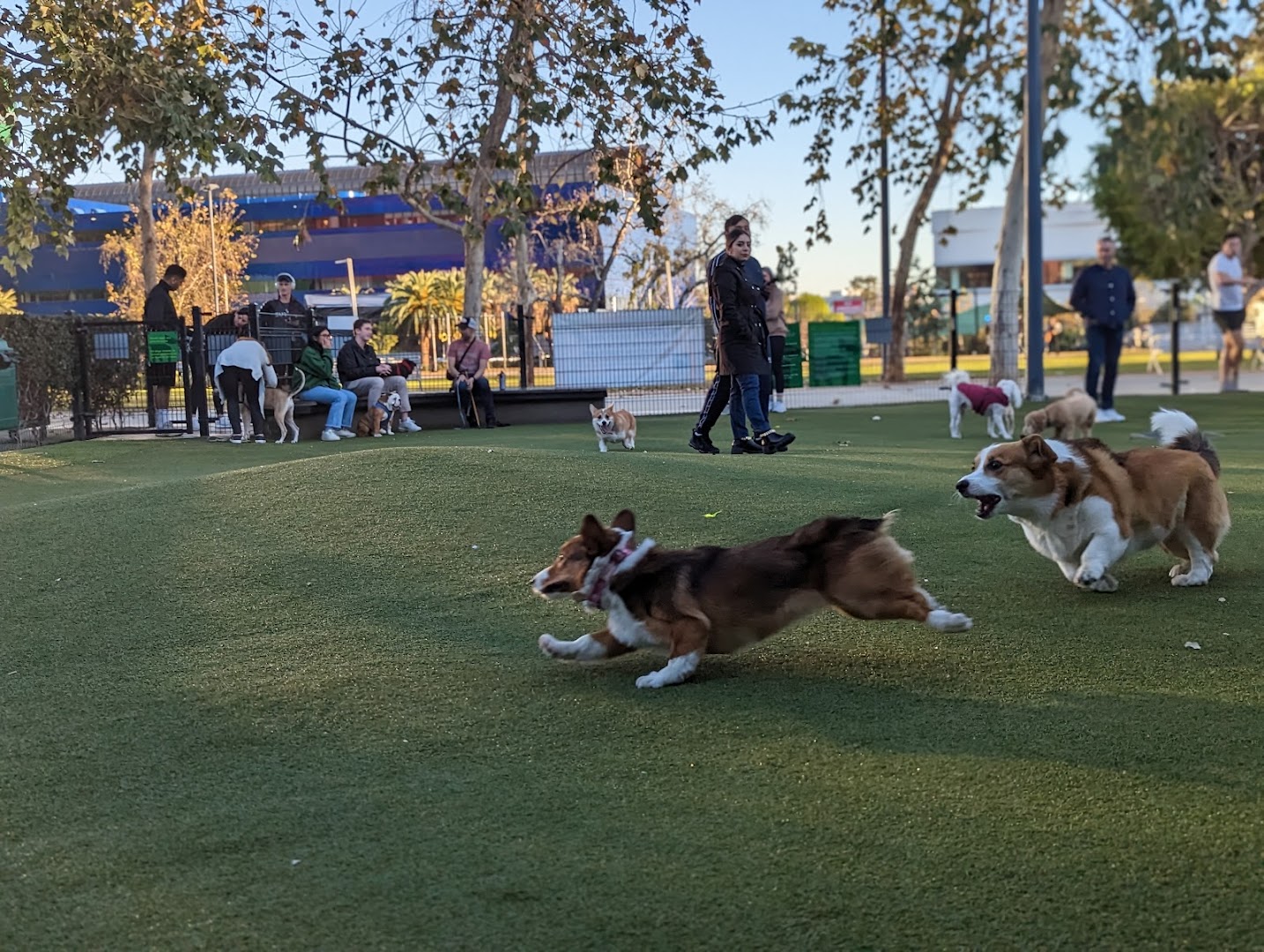 West Hollywood Small Dog Park