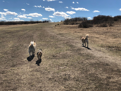 Edworthy Off Leash Dog Park