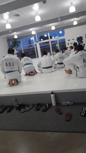 Art of Jiu Jitsu Academy image