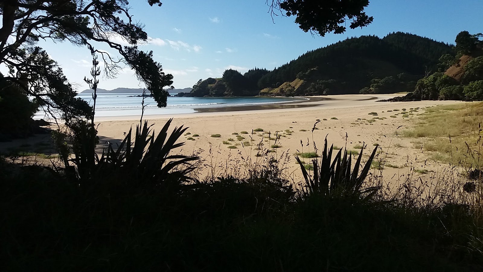 Foto de Grahams Bay Beach com areia bege superfície