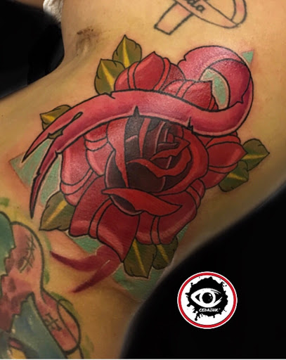 Body Piercing Shop «Artisan Body Piercing And Tattoo», reviews and photos, 5720 Hoggard Rd, Norfolk, VA 23502, USA