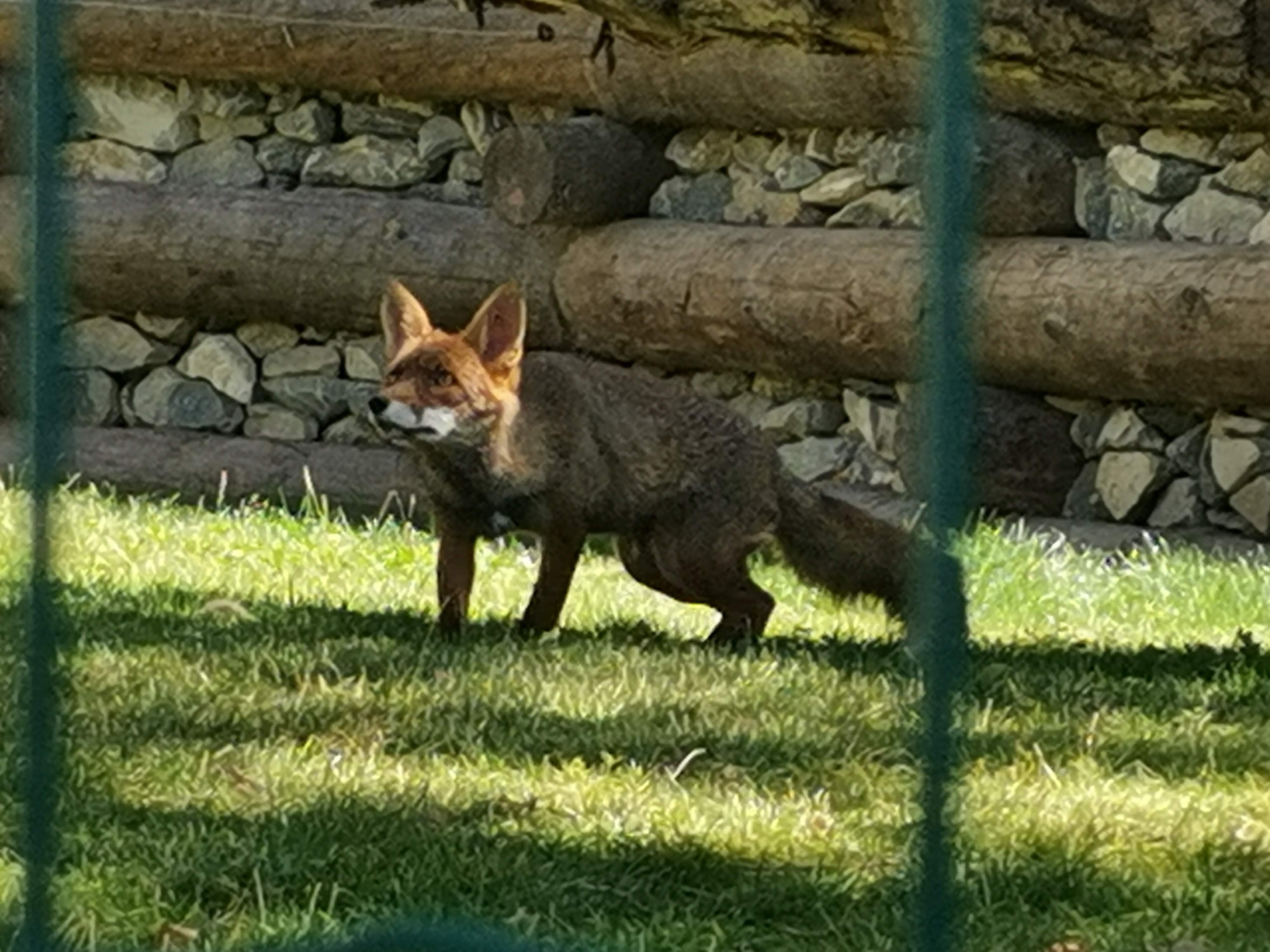 Photo n° 4 de l'avis de Wil.o fait le 06/08/2021 à 23:28