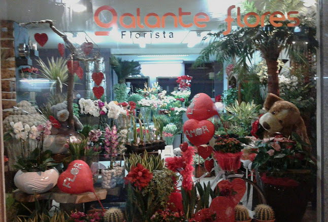 Galante Flores