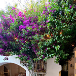 Photo n°8 de l'avis de Michele.i fait le 20/06/2021 à 14:50 sur le  Il Cortiletto à Speziale