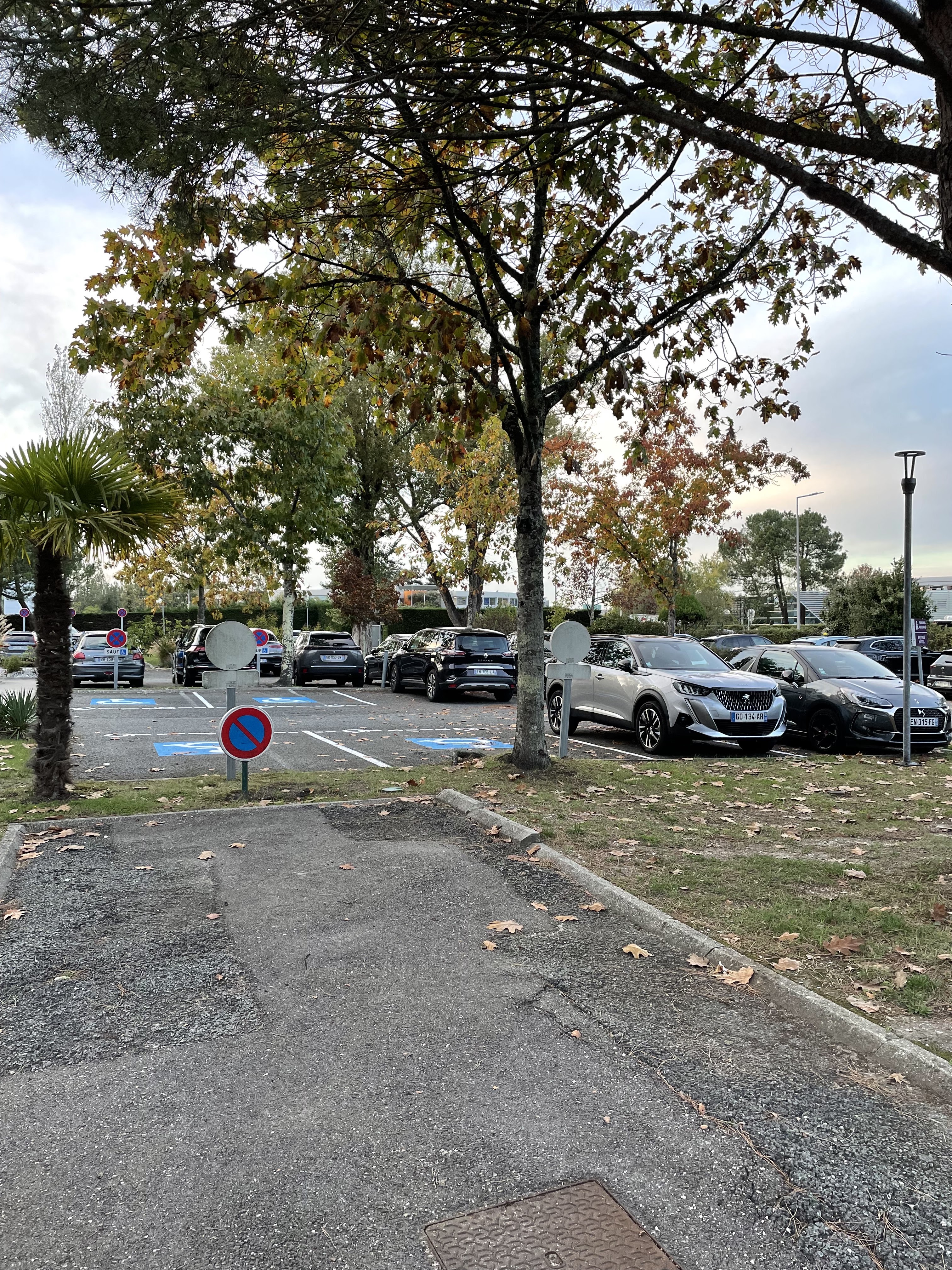 Photo n° 1 de l'avis de pierre.e fait le 05/11/2022 à 06:51