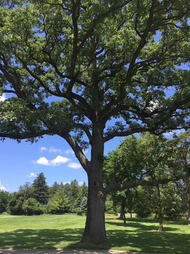 Golf Club «Pine Meadow Golf Club», reviews and photos, 1 Pine Meadow Ln, Mundelein, IL 60060, USA