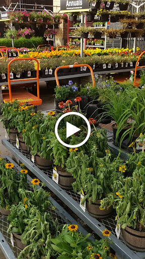 Home Improvement Store «The Home Depot», reviews and photos, 224 S Royal Oaks Blvd, Franklin, TN 37067, USA