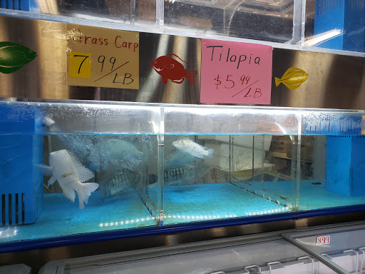 Asian Grocery Store «Asian Market», reviews and photos, 1711 Fort Henry Dr, Kingsport, TN 37664, USA